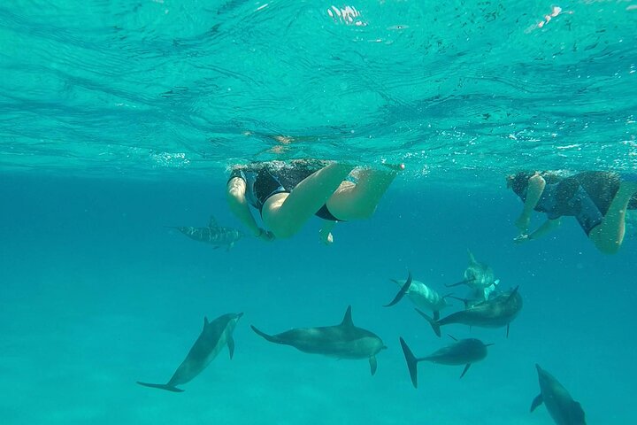 Sataya Dolphin House Aventura en barco de lujo con almuerzo