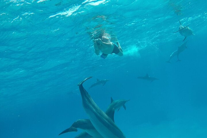 Sataya Dolphin House Aventura en barco de lujo con almuerzo