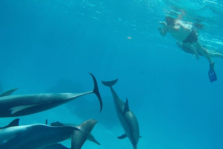 Sataya Dolphin House Aventura en barco de lujo con almuerzo