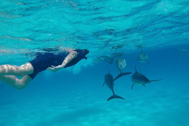 Sataya Dolphin House Aventura en barco de lujo con almuerzo