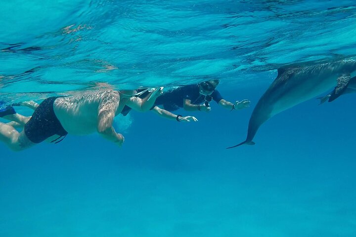 Sataya Dolphin House Aventura en barco de lujo con almuerzo