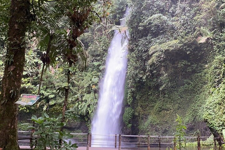 Jakarta Regenwoud Wandelen naar Verborgen Waterval & Hangbrug