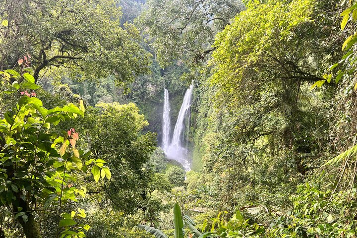 Jakarta Regenwoud Wandelen naar Verborgen Waterval & Hangbrug