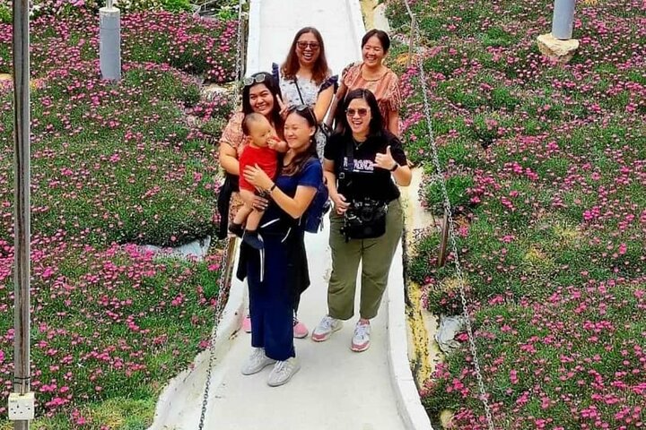 Excursion d'une journée à Cameron Highlands au départ d'Ipoh avec déjeuner et forêt moussue