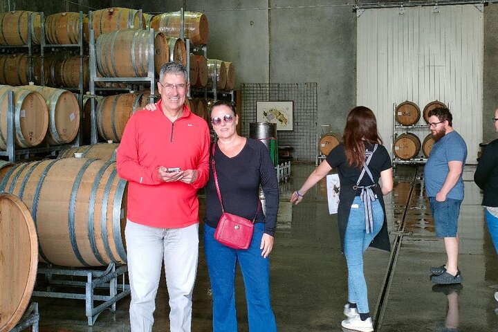 Tour privado por Martinborough para entusiastas del vino