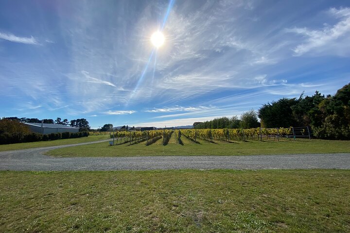 Tour privado por Martinborough para entusiastas del vino