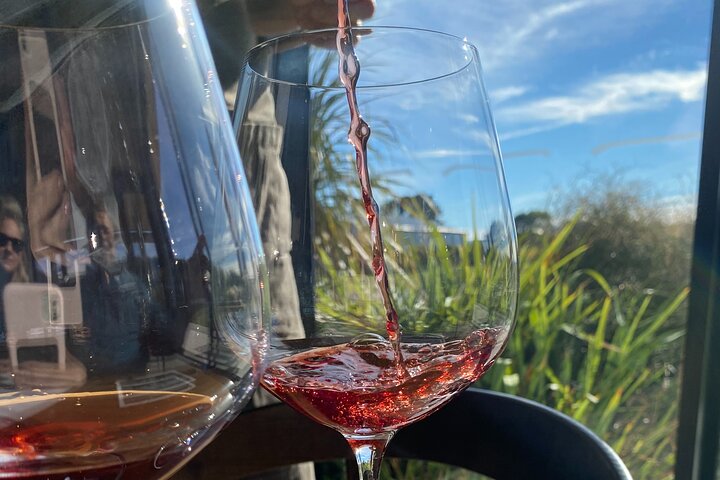 Tour privado por Martinborough para entusiastas del vino