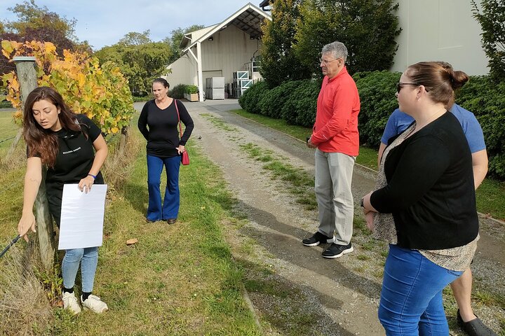 Tour privado por Martinborough para entusiastas del vino