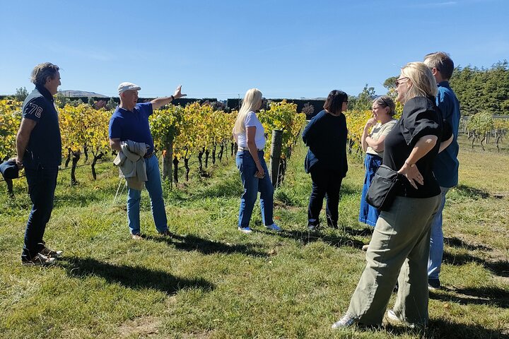 Tour privado por Martinborough para entusiastas del vino