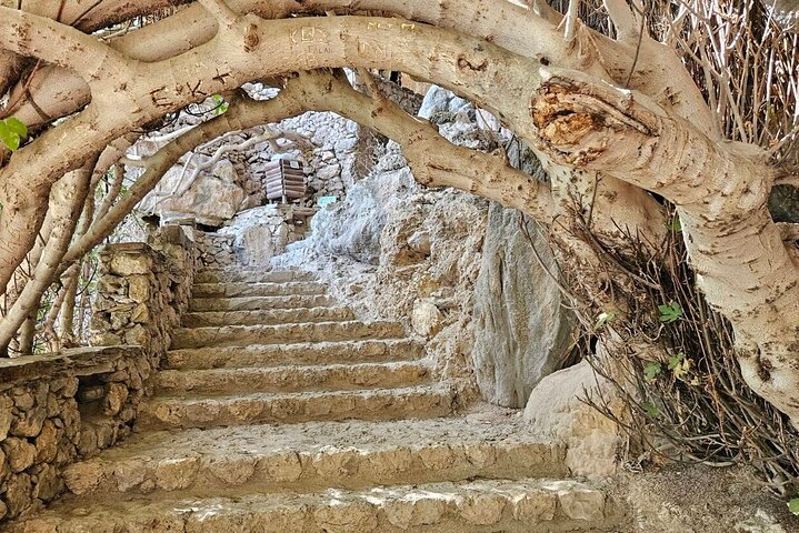Visite privée de la plage d'Elafonisi avec dégustations d'huile d'olive au miel et de vin