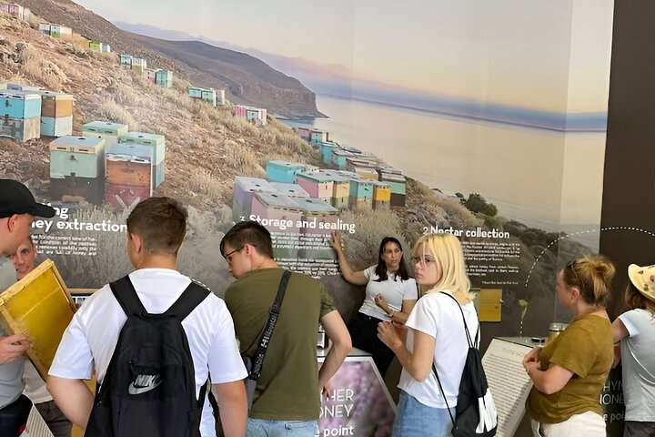 Visite privée de la plage d'Elafonisi avec dégustations d'huile d'olive au miel et de vin