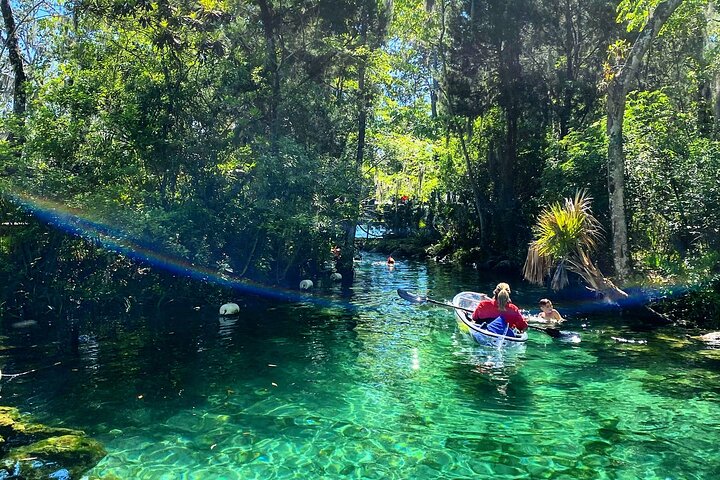 Hoteller i nærheden af Crystal River Clear Kayak Tour: Three Sisters Springs & Manatees