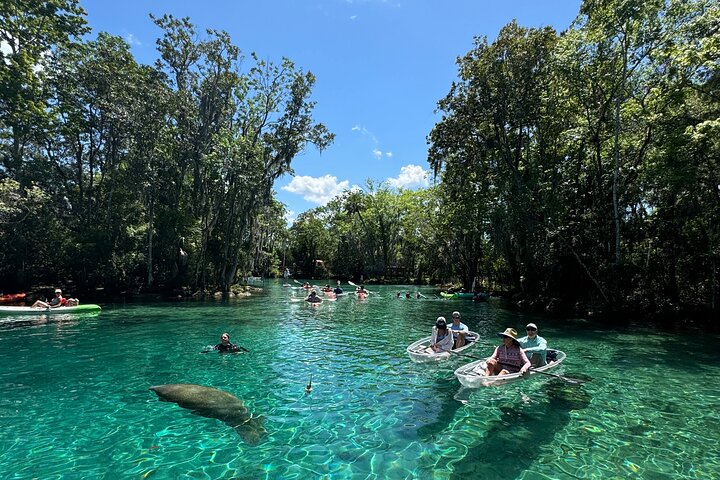 Hoteller i nærheden af Crystal River Clear Kayak Tour: Three Sisters Springs & Manatees
