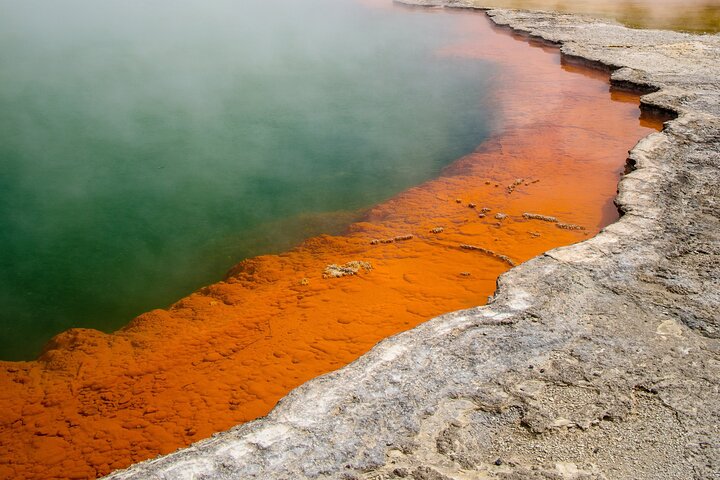 Auckland: Rotorua Tour avec Waiotapu, Te Puia et Maori Haka