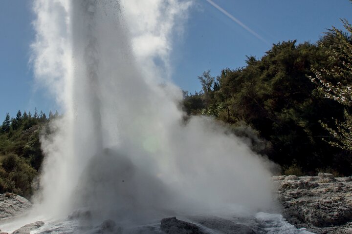 Auckland: Rotorua Tour avec Waiotapu, Te Puia et Maori Haka