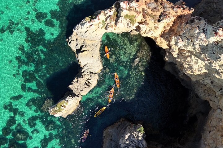 Von Lagos : Kajaktour durch die Höhlen von Ponta da Piedade mit dem Boot