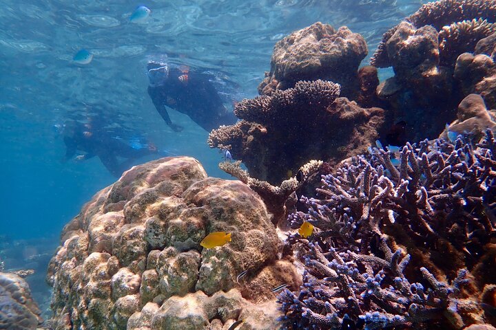 Lagoon Explorer - Ningaloo Reef Kajak- en snorkelavontuur van een hele dag
