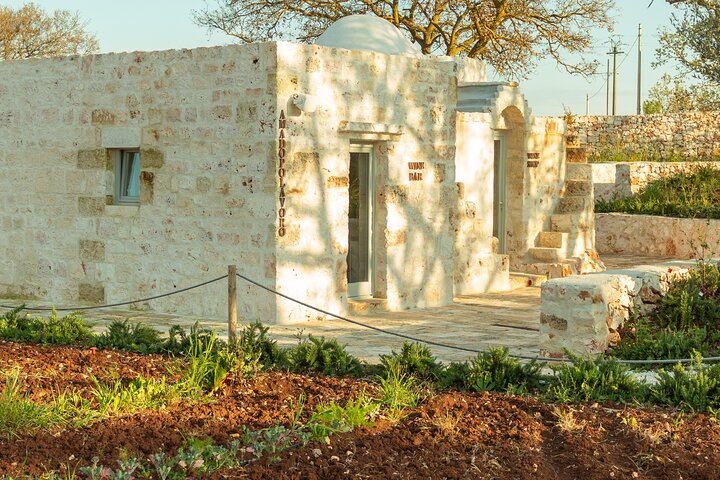 Omvisning og smaking i kjelleren, oppdag de organiske vinene til Ostuni