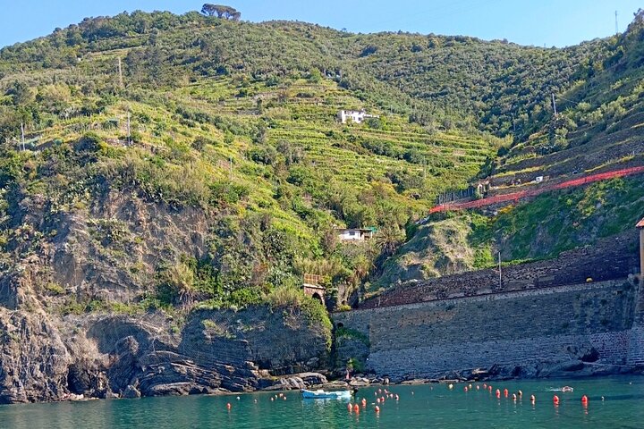 Cinque Terre med tog og båd