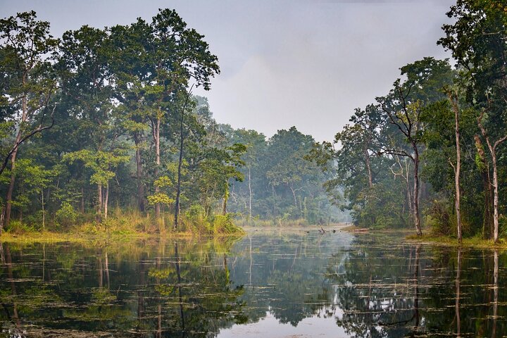 Halve dag Jeep Safari delen in Chitwan National Park