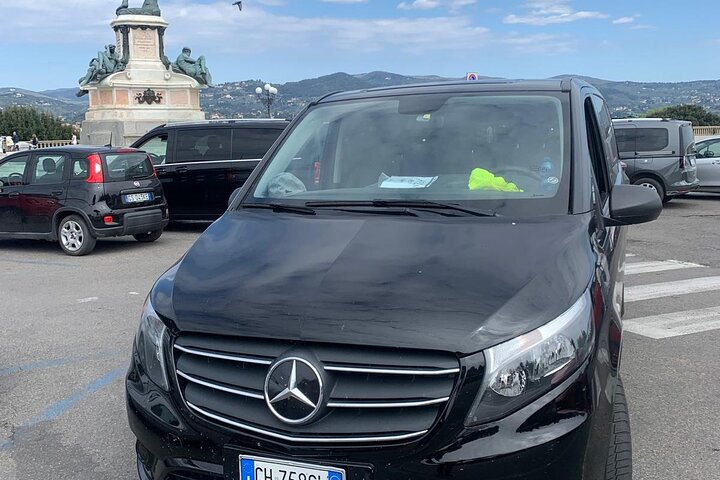 Excursion privée d'une journée à Pise et Florence depuis le port de Livourne