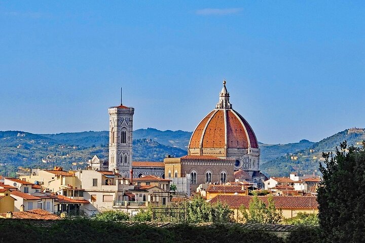 Excursion privée d'une journée à Pise et Florence depuis le port de Livourne