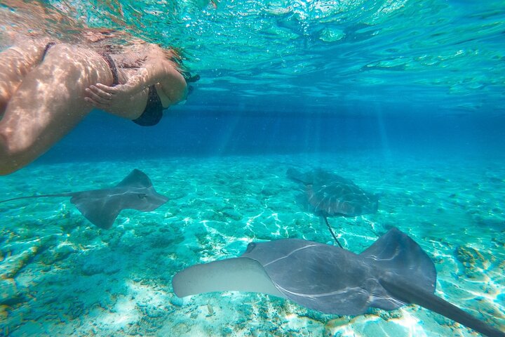 Private Early Bird Komodo Tour por Speedboat – Beat the Crowds