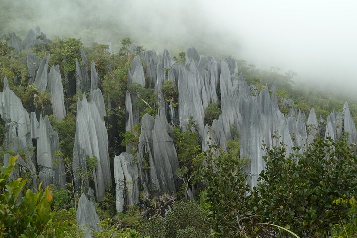 Desafio de caminhada 3D 2N Mulu Pinnacles