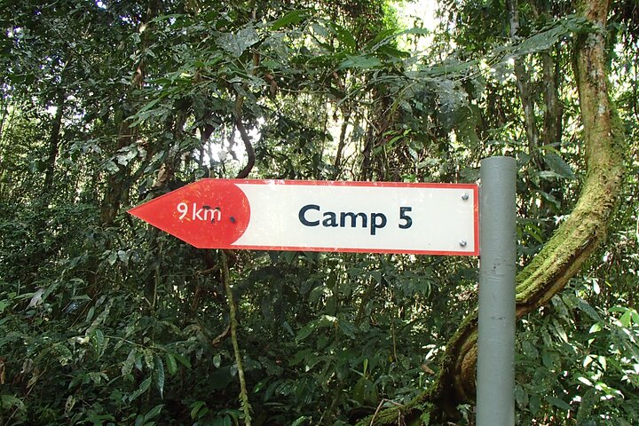 Desafio de caminhada 3D 2N Mulu Pinnacles