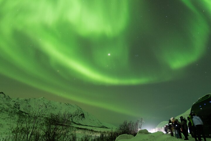 Tromsø: Aventura das luzes do norte com guias Especialistas e fotos