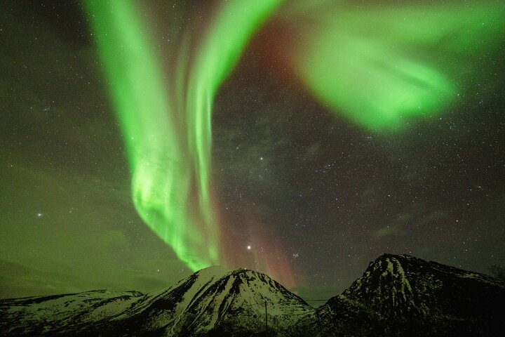 Tromsø: Aventura das luzes do norte com guias Especialistas e fotos