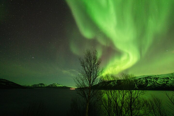 Tromsø: Aventura das luzes do norte com guias Especialistas e fotos