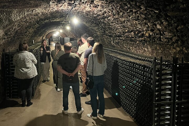Visita di mezza giornata a Epernay South e degustazioni di champagne