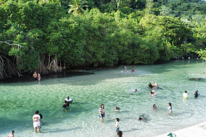 Aventura en Samaná: Cayo Levantado y Salto del Limón.