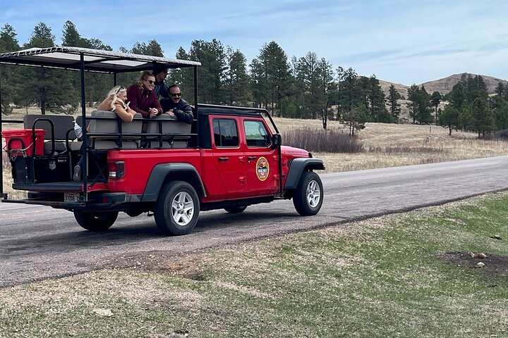 La seule journée complète - Safari bison en jeep - Déjeuner pique-nique au bord du lac