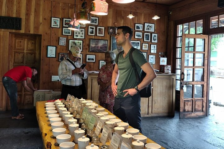 Guidet tur til Palampur-klostrene, Temple & Tea Gardens