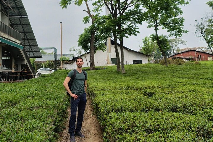 Guidet tur til Palampur-klostrene, Temple & Tea Gardens