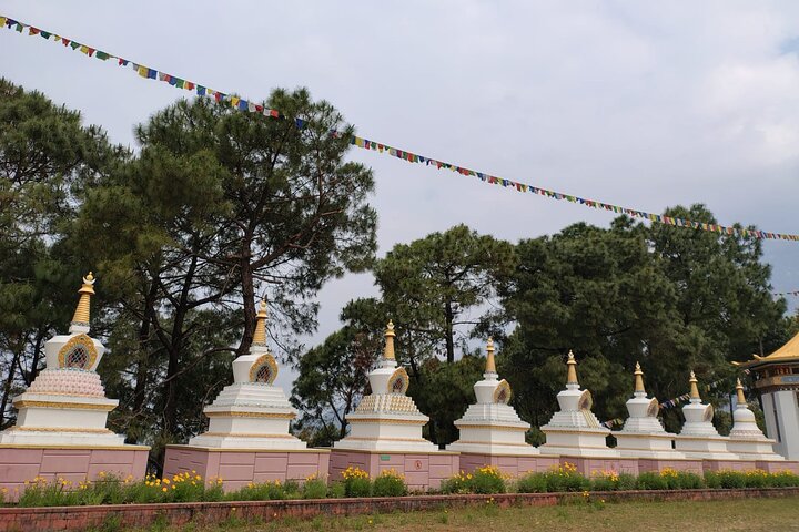 Guidet tur til Palampur-klostrene, Temple & Tea Gardens