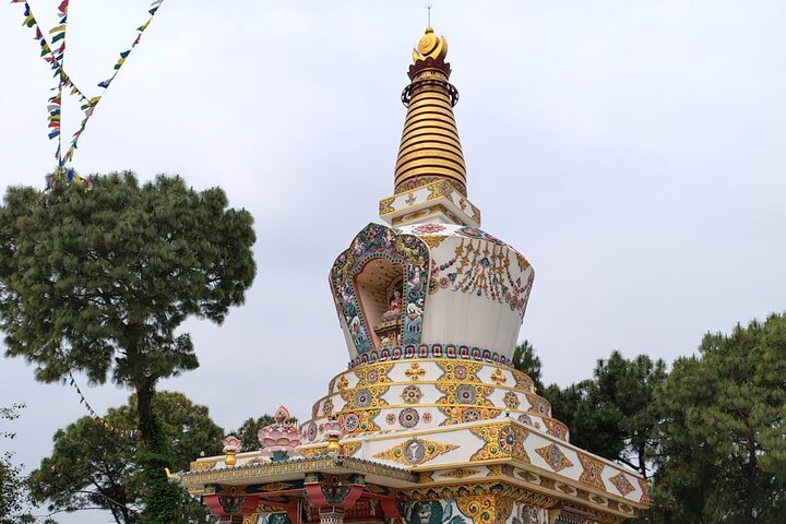 Guidet tur til Palampur-klostrene, Temple & Tea Gardens