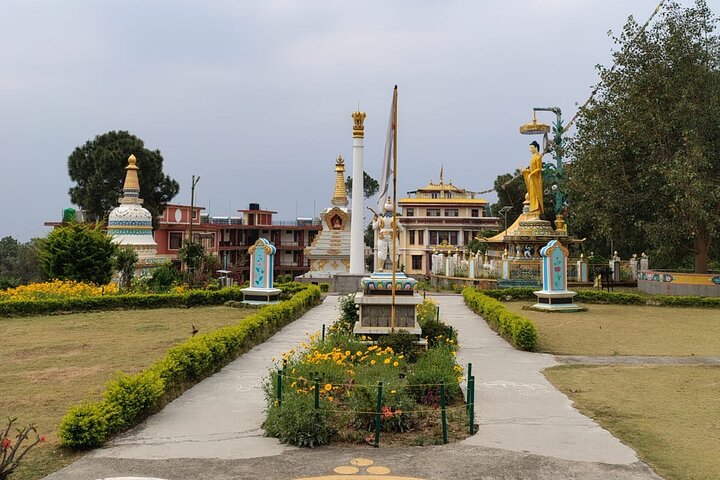 Guidet tur til Palampur-klostrene, Temple & Tea Gardens