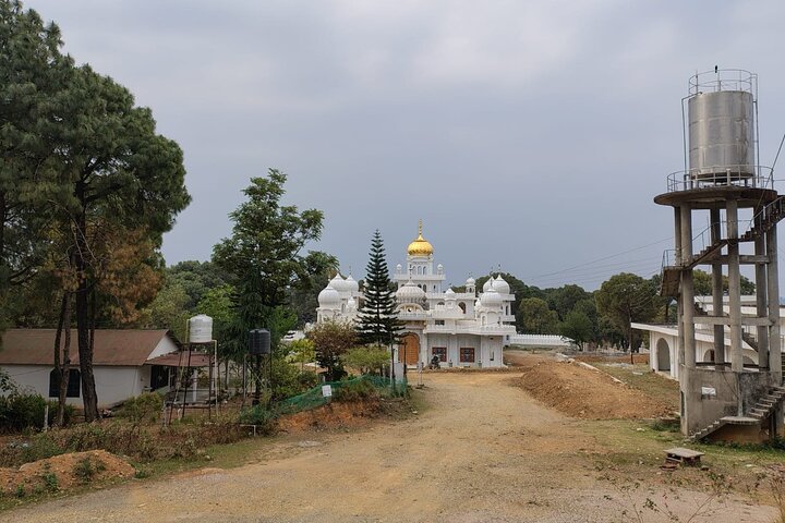 Guidet tur til Palampur-klostrene, Temple & Tea Gardens