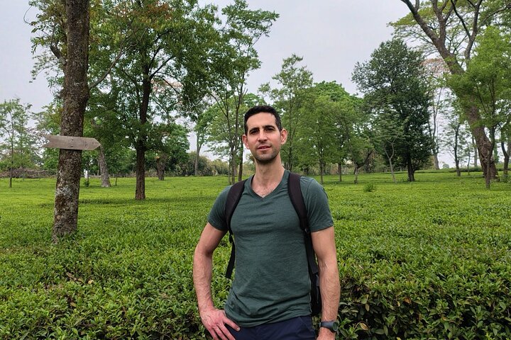 Guidet tur til Palampur-klostrene, Temple & Tea Gardens