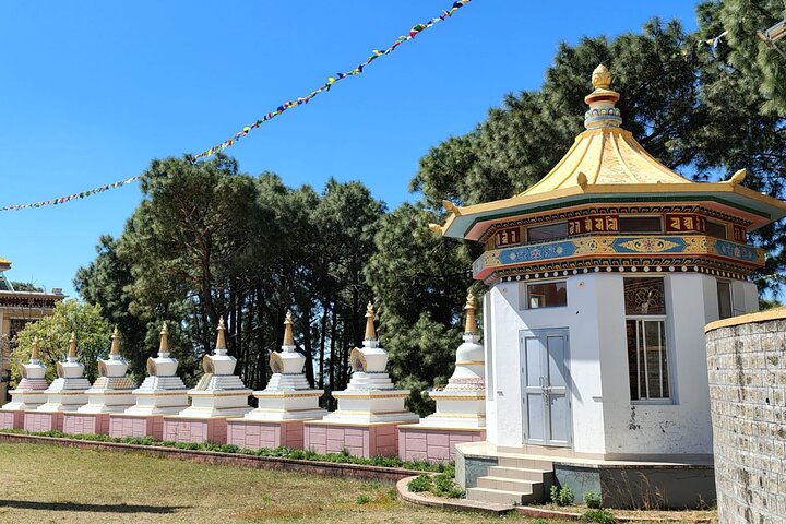 Guidet tur til Palampur-klostrene, Temple & Tea Gardens
