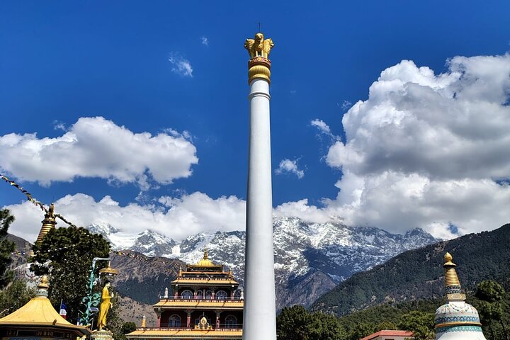 Guidet tur til Palampur-klostrene, Temple & Tea Gardens