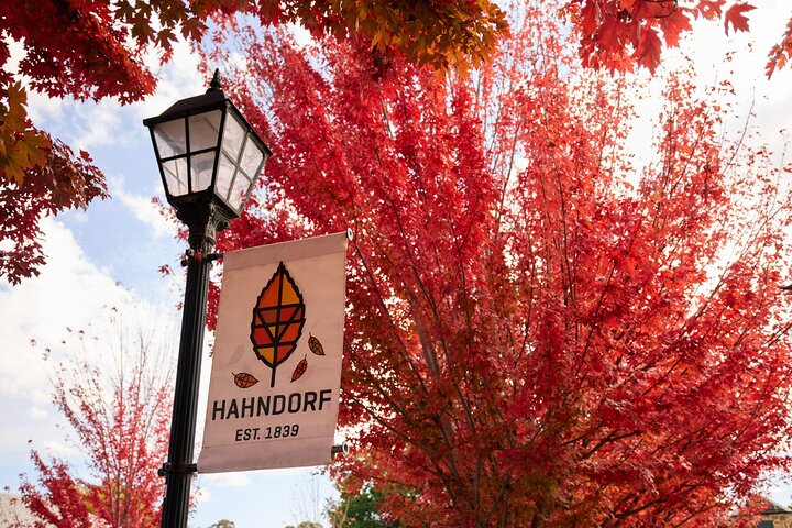 Punti salienti di Adelaide, degustazione di vini e giro turistico di Hahndorf e McLaren Vale