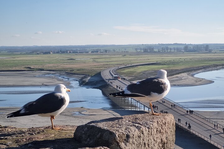 Een begeleide wandeltocht van 2 uur door het dorp Mont Saint Michel.