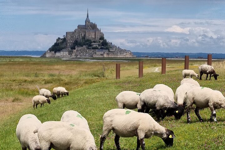Een begeleide wandeltocht van 2 uur door het dorp Mont Saint Michel.