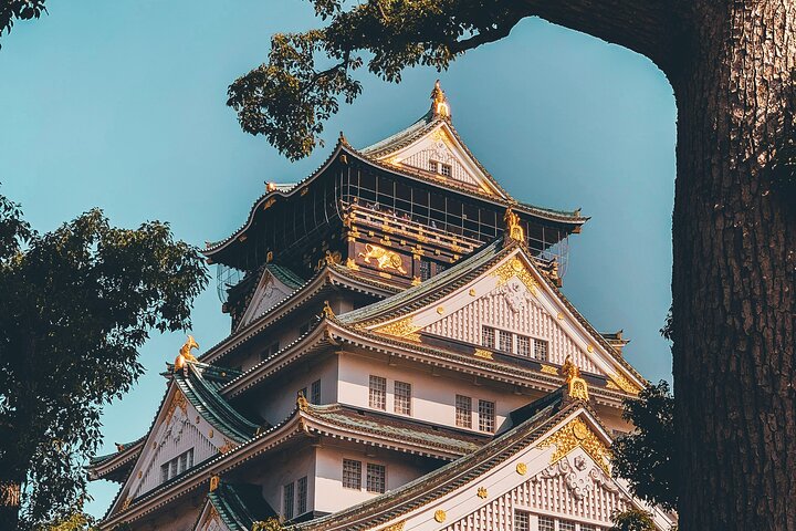 Tour privato delle attrazioni di Osaka con Guida e veicolo di lusso