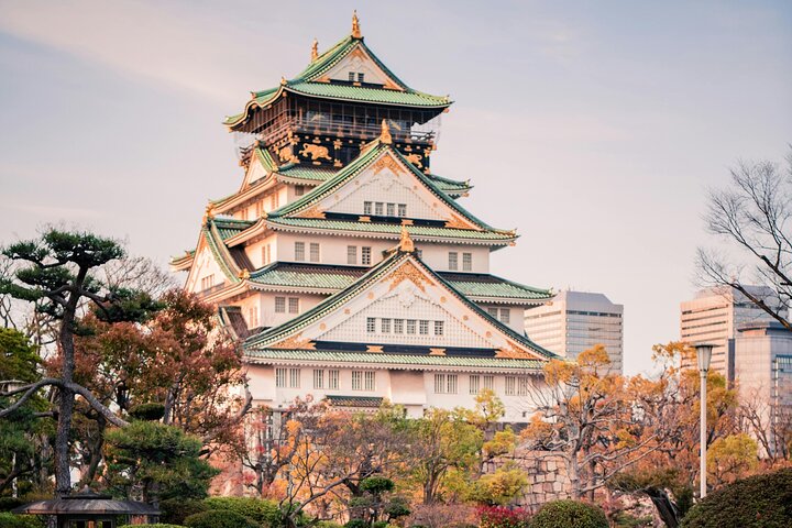 Tour privato delle attrazioni di Osaka con Guida e veicolo di lusso