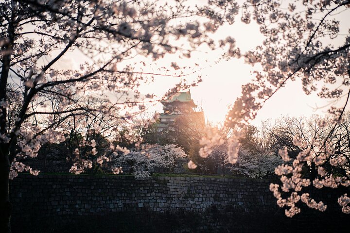 Tour privato delle attrazioni di Osaka con Guida e veicolo di lusso